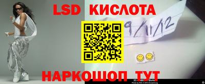 крисы Гай