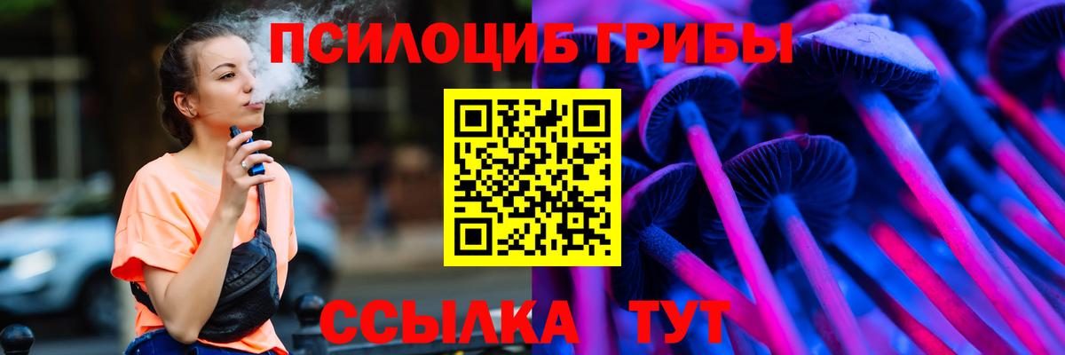 Псилоцибиновые грибы прущие грибы  где найти наркотики  Гатчина  Вход с VPN 